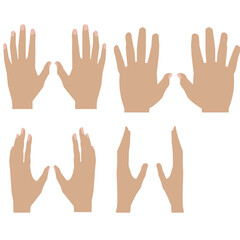 vector illustration of human hands in different positions