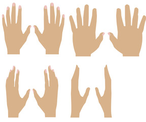 vector illustration of human hands in different positions