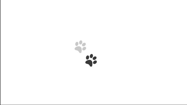 Paw prints animal feet foot footprints pawprints dog cat