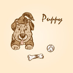 Dog. Puppy. Hand drawn doodle sketch - vector illustration
