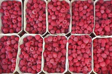 red berries of a raspberry