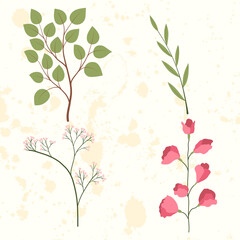 Set with sweet pea flowers and green leaves, olive leaf branch. Isolated vector illustration.
