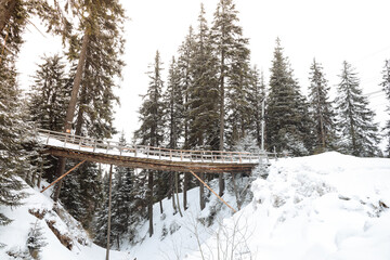 Wood bridge in forest winter season,nobody