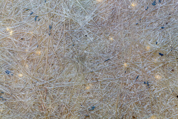 Old Weathered Synthetic Material