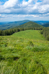 Summer landscape. Mountain view and green forest