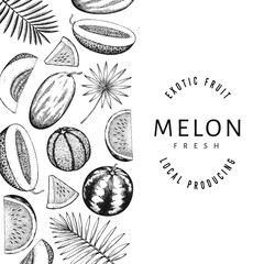Watermelons, melons and tropical leaves design template. Hand drawn vector exotic fruit illustration. Engraved style fruit frame. Vintage botanical banner.