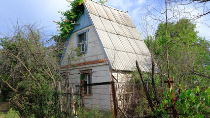 
Abandoned houses on personal plots in Russia.