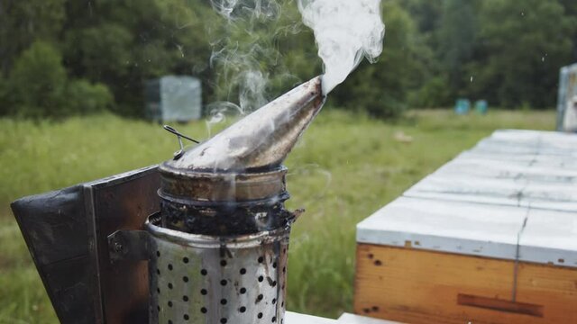 Close-up of smoke pipe beeper tool on wooden beehives smoking. Fumigation. Professional bee-maker device. Culture of beekeeping.