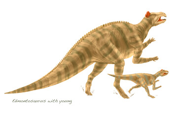 Edmontosaurus and Young (Cut Outs)
A species of  hadrosaurid (duck-billed) dinosaurs that lived 80 million years ago.