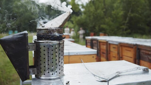 Professional smoking pipe beeper hive instrument for fumigating bees. Little poor bee tries to get up. Natural farm. Apiary. Honey production.