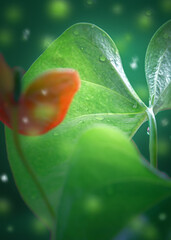 green leaf with water drops