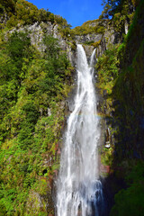 Obraz na płótnie Canvas The Risco waterfall. Madeira, Portugal.