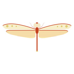 Dragonfly view from above. Ornamental pattern. Isolated insect cartoon vector illustration in flat style
