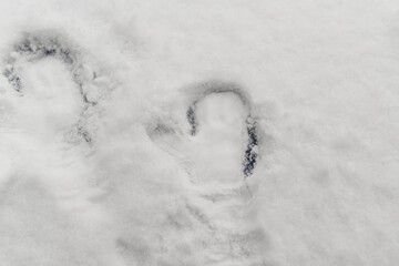 Mittened handprints in the white snow. Background. Copy space.