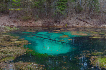 Saula blue springs pond (siniallikas). Tranquil blue and green grades of clear water and seaweed.