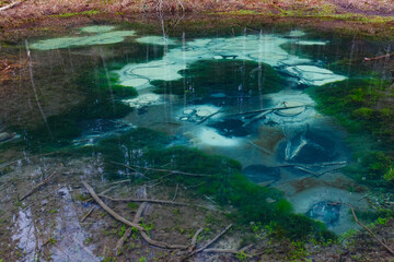 Saula blue springs pond (siniallikas). Tranquil blue and green grades of clear water and seaweed.