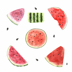 Watermelon set hand drawn watercolour illustration sliced fruits.