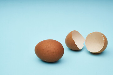 Chicken eggs whole and parts. Half an egg, egg yolk, shell.