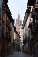 Fototapeta na wymiar Streets of Oviedo and Cathedral of San Salvador, Oviedo, Spain