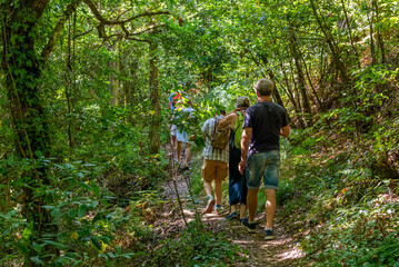Naklejka na ściany i meble rear view of a group of tourists walking along a path in a green forest, hiking