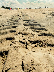 Spur im Sand