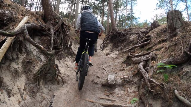 Fast paced mountain biking on forest trail. Point of view, action camera.