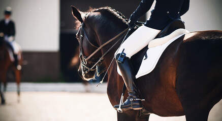 A dark Bay horse in equestrian gear with a rider in the saddle looks at a competitor in a dressage competition.