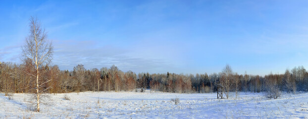 Panorama of the winter forest with a hunting tower