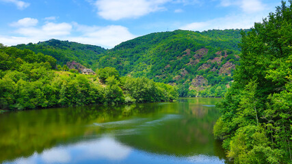 Fototapeta na wymiar beautiful river or lake and green forest