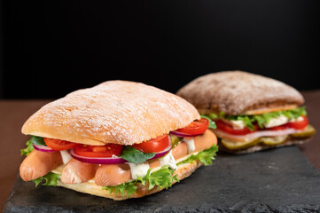Two diverse sandwiches. Assortment of sandwiches. Two sandwiches.