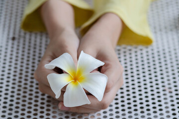 Woman hands holding white plumeria flower on the with table. Welcome to Thailand. Thai hospitality concept. Top view. yellow color background. copy space.