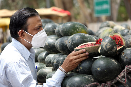 Indian man in mask examining watermelons for buying. Choosing best watermelon. Defeating covid-19. 