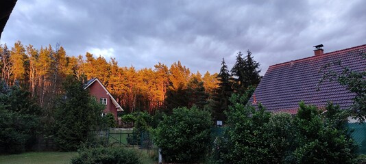 Obraz premium autumn in the mountains