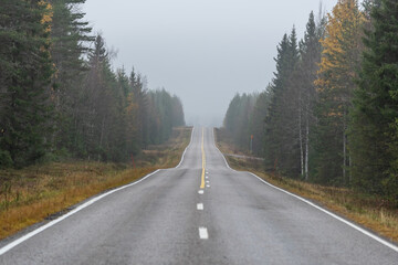 Long road in autumn forest in Finland