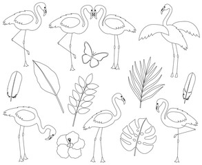 Set flamingo vector bird tropics flowers vector illustration black and white coloring.