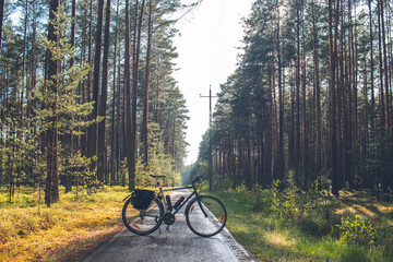 Fototapeta premium Spring outdoors: cycling in Bory Tucholskie, Poland
