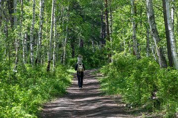 Fototapeta premium Father walks along a forest trail with his little daughter