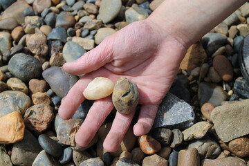 hand holding stones