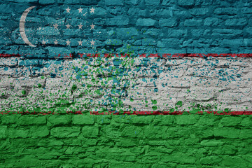 painted big national flag of uzbekistan on a massive old brick wall
