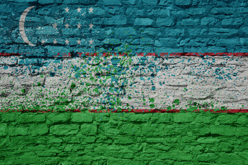 Fototapeta premium painted big national flag of uzbekistan on a massive old brick wall