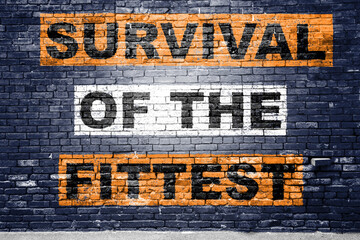 Survival of the Fittest Motivation Quote