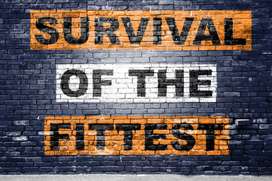Survival Of The Fittest Images – Browse 481,562 Stock Photos, Vectors, and  Video