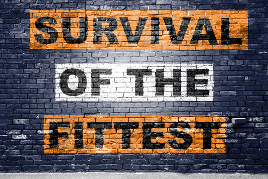 Survival of the Fittest