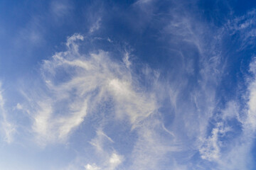 Evening sky, deep blue sky and rare white clouds white clouds .