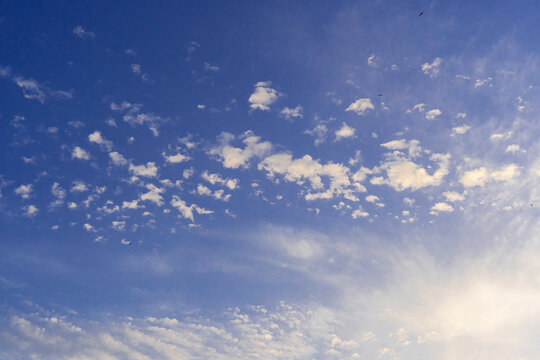 Blue  evening sky and fluffy clouds with little birds, copy space for text