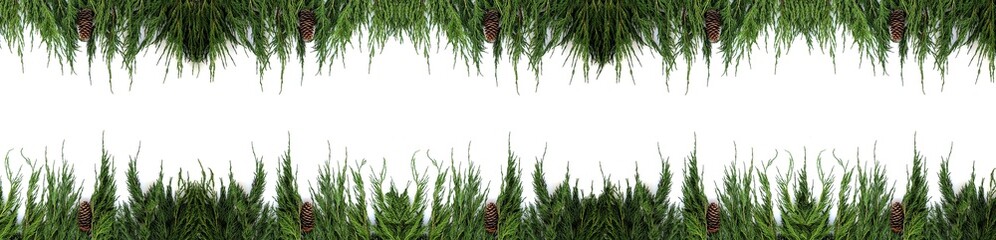 Festive Christmas border or banner (mock up, seamless pattern) on a white background with copy space for your text. Thuja green branches are decorated with cones.