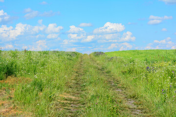 Green field with a road to the sky