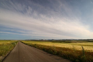 Fototapeta na wymiar Campos de secano dedicados al cultivo de cereales en Los Llanos del Cagitán, Mula, Murcia, España.