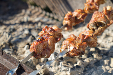 meat grilled at picnic, cooking roasted meat