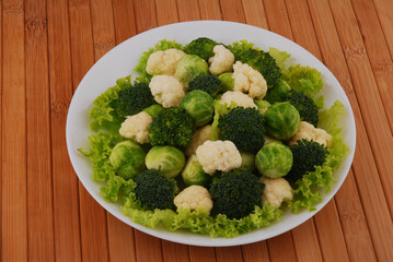 Set of the different varieties of cabbage Cauliflower, Brussels, Broccoli sprouts